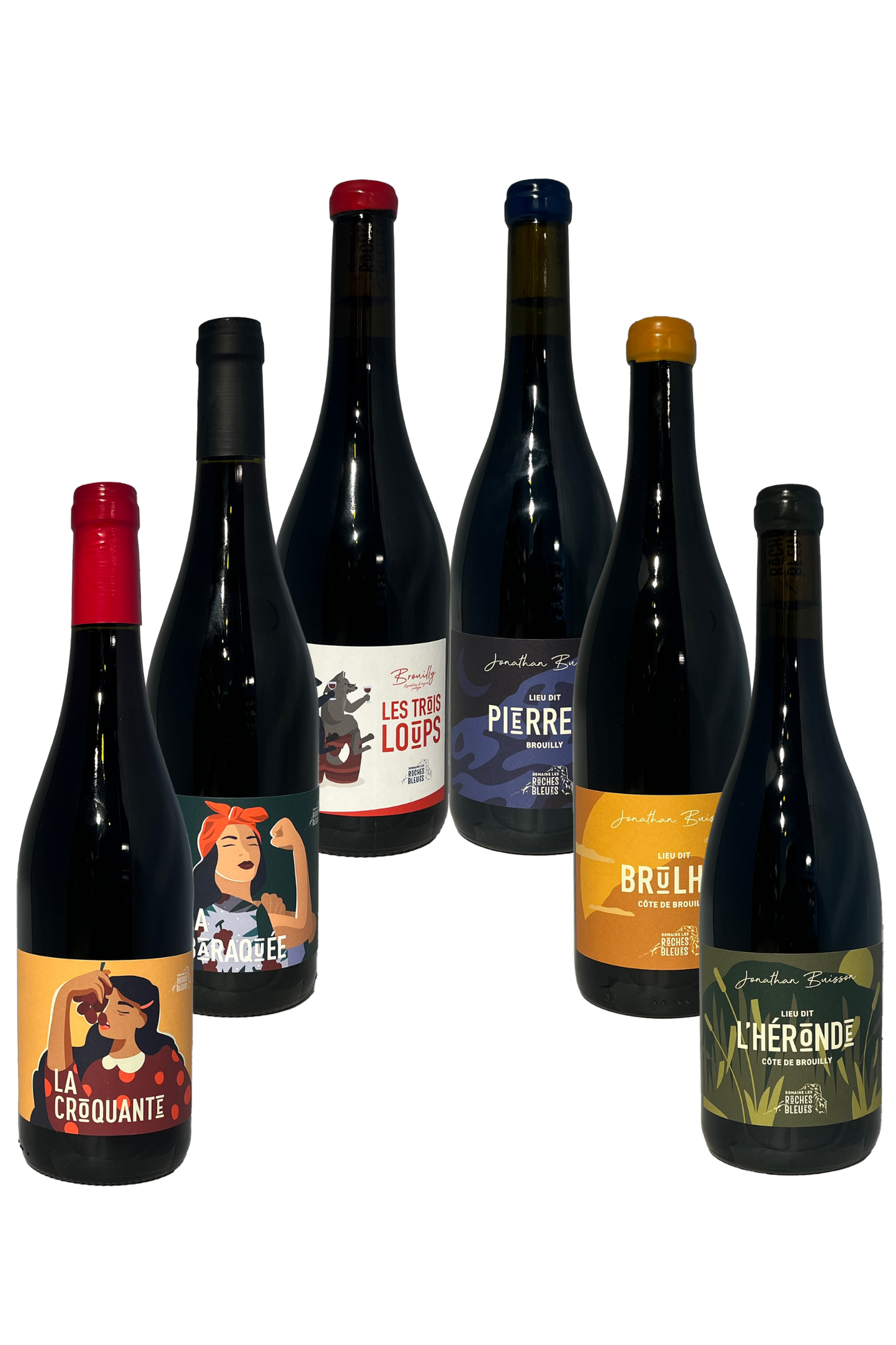 Domaine Les Roches Bleues smagekasse med 6 rødvine på sort baggrund