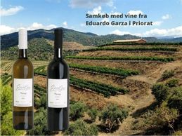Eduardo Garza Priorat 2020 Mixkasse