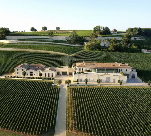 Château Palvié – Gaillac-vin fra Sydvestfrankrig