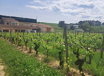 Domaine Les 4 Vents