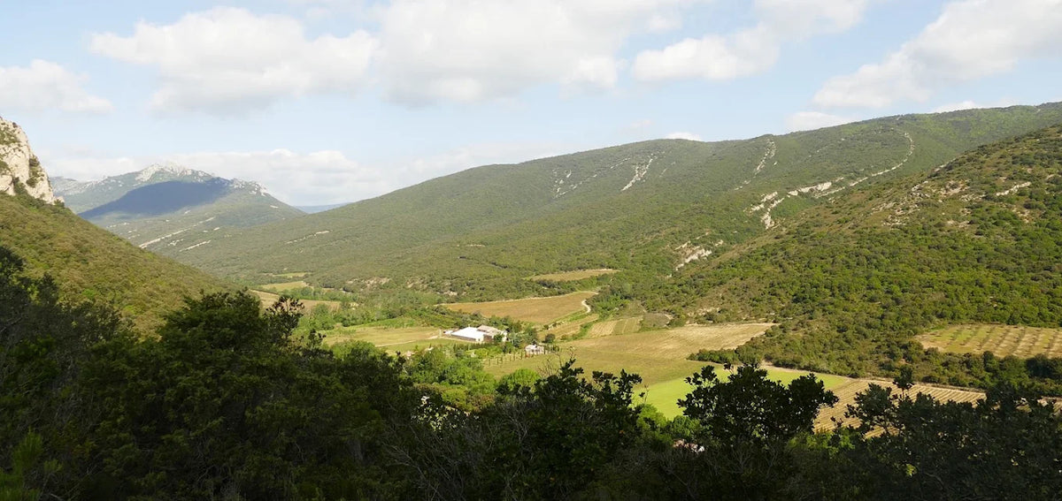 Domaine du Grand Arc
