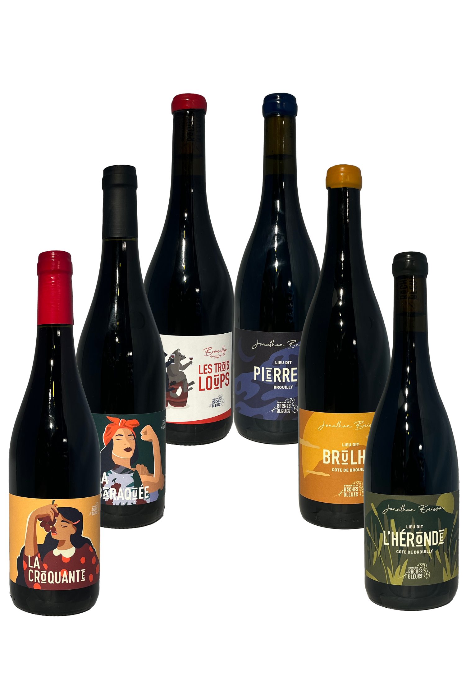 Domaine Les Roches Bleues smagekasse med 6 rødvine på sort baggrund