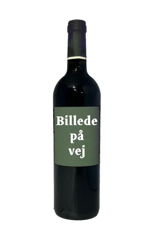 Cantina Gaffino Cardinale Etichetta Blu IGP Lazio Cesanese 2022 magnum